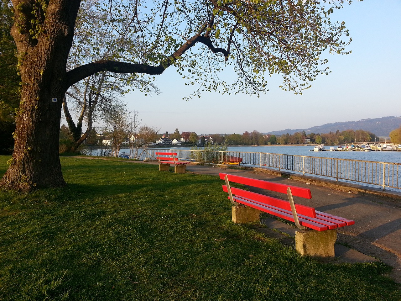 灰熊伤病报告：莫兰特连续第10场比赛缺阵